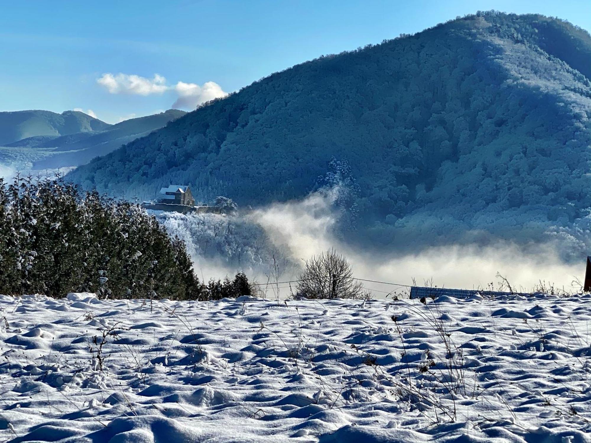 Pensiunea Apfelhaus Cisnădioara Exterior foto