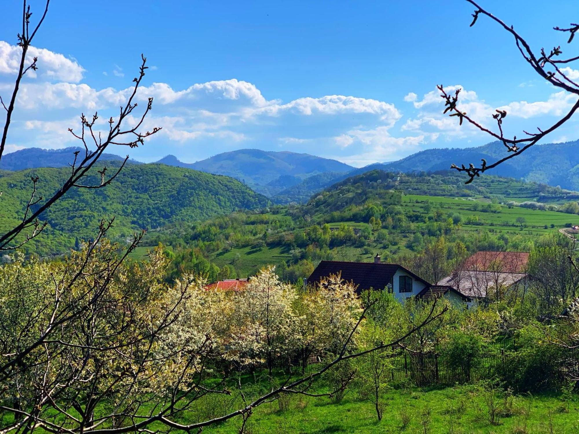Pensiunea Apfelhaus Cisnădioara Exterior foto